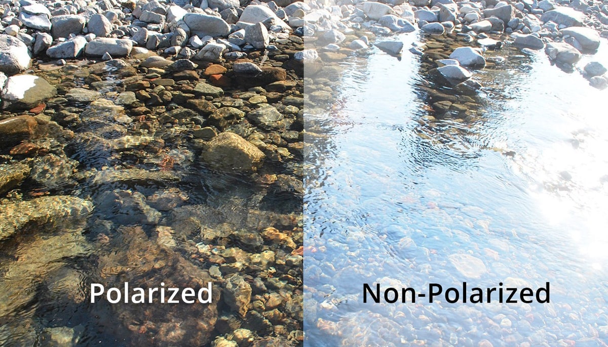 Polarized vs non-polarized lens comparison