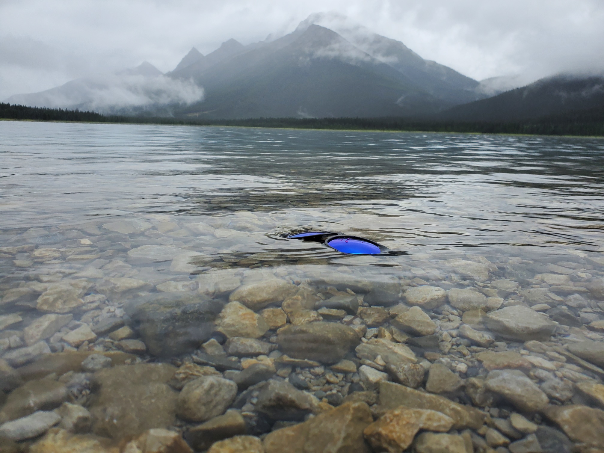 ViBES floating sunglasses